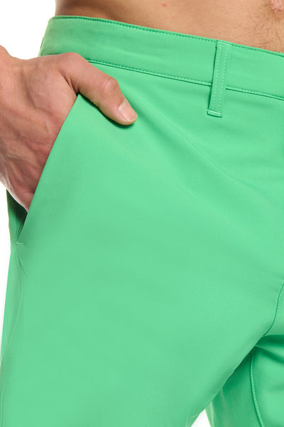 #color_classic-green